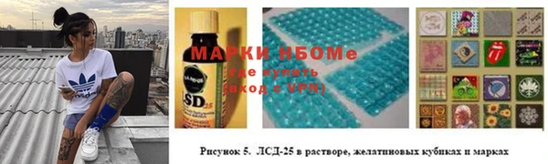 дмт Богородск